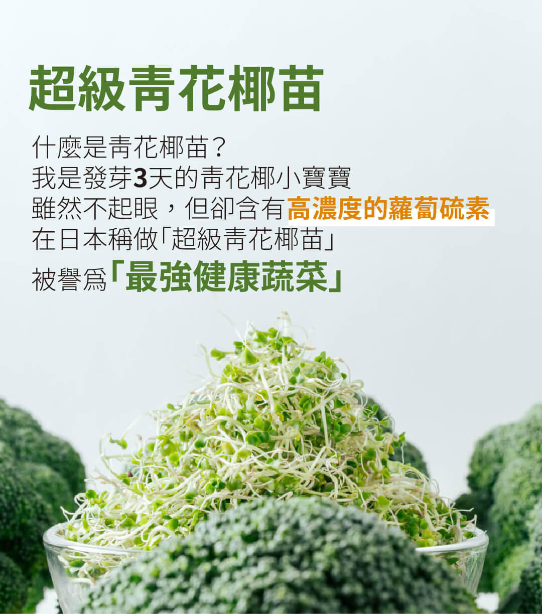 鮮級飲